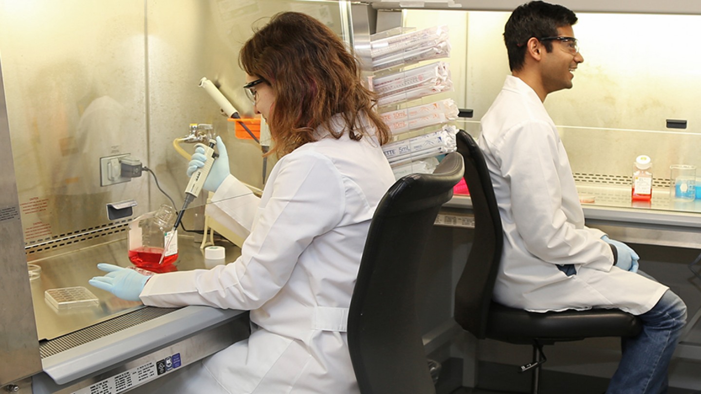 Biomedical Engineering Engineering Brown University